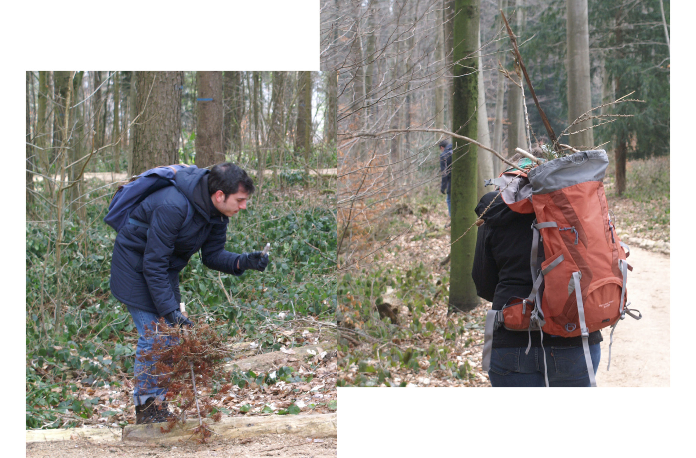 Participants collecting pieces of nature in the forest