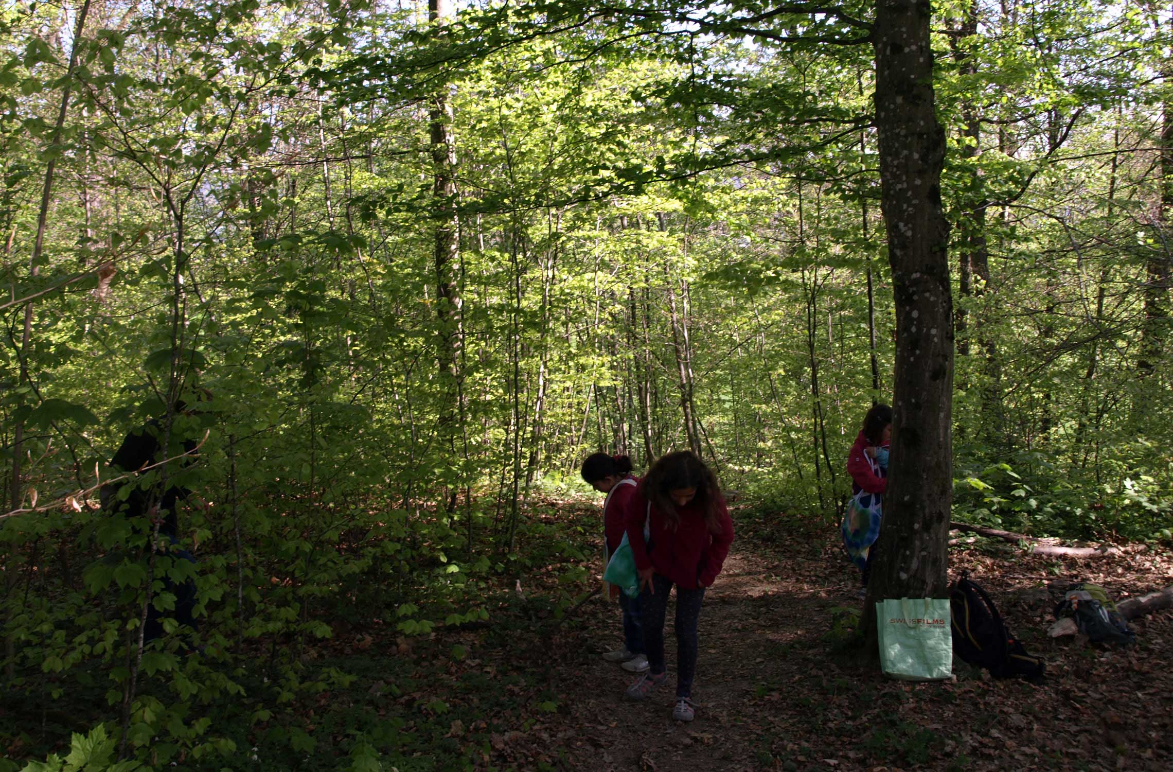 1. Walking in the nature